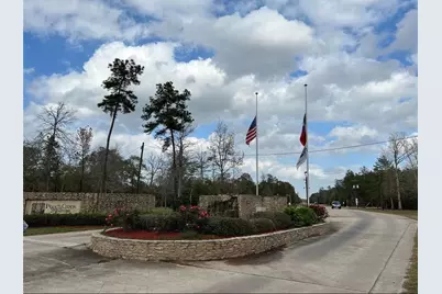 21438 Doru Drive, Cleveland, TX 77328 - Photo 10