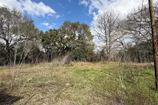 14023 Colony Rd, Needville, TX 77461 - Photo 4