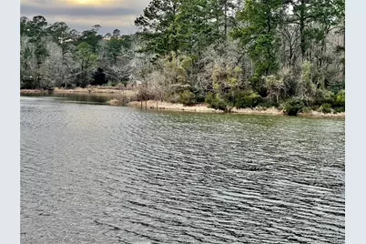 Tbd Milton Whatley Rd, Montgomery, TX 77356 - Photo 8