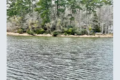 Tbd Milton Whatley Rd, Montgomery, TX 77356 - Photo 6