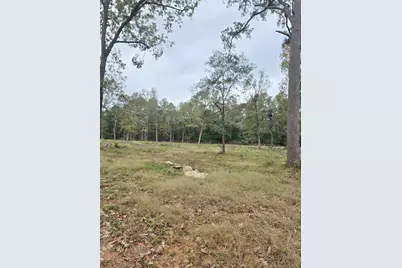 1006 S Houston Avenue, Livingston, TX 77351 - Photo 8