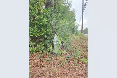 1006 S Houston Avenue, Livingston, TX 77351 - Photo 10