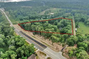 19710 Lowe St, Porter, TX 77365 - Photo 8