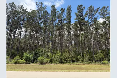 15693 Wooded Trail Way, Willis, TX 77378 - Photo 1
