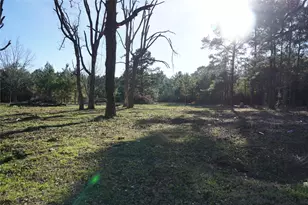 1087 Co Rd 318, San Augustine, TX 75972 - Photo 1