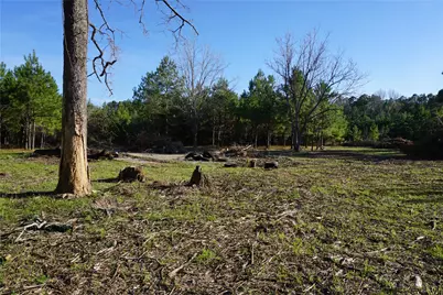 1087 County Road 318, San Augustine, TX 75972 - Photo 4