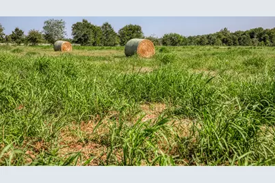 13555 Fm 1155 E, Washington, TX 77880 - Photo 34