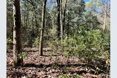 Tbd Churton Road, Livingston, TX 77351 - Photo 6