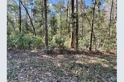 Tbd Churton Road, Livingston, TX 77351 - Photo 4