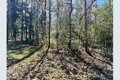 Tbd Churton Road, Livingston, TX 77351 - Photo 1