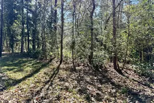 Tbd Churton Rd, Livingston, TX 77351 - Photo 1