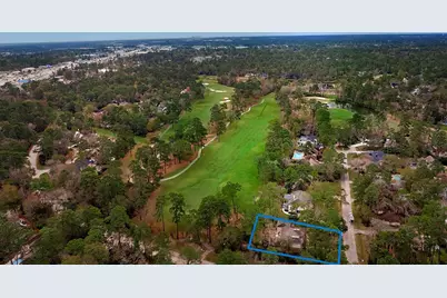 2 Box Turtle Lane, The Woodlands, TX 77380 - Photo 2