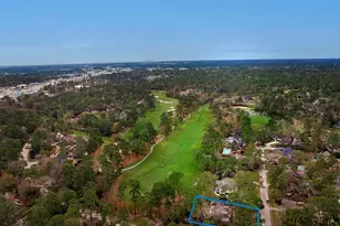 2 Box Turtle Ln, The Woodlands, TX 77380 - Photo 2