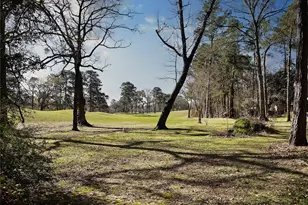 2 Box Turtle Ln, The Woodlands, TX 77380 - Photo 6