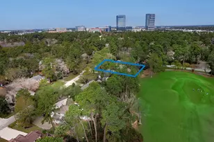 2 Box Turtle Ln, The Woodlands, TX 77380 - Photo 1