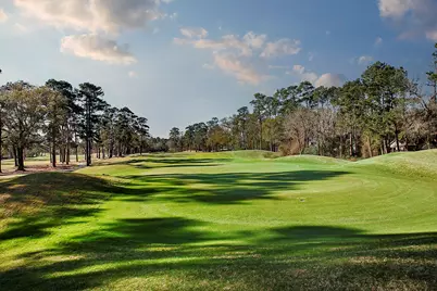 2 Box Turtle Lane, The Woodlands, TX 77380 - Photo 8