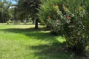 25660 Cemetery Rd, Bedias, TX 77831 - Photo 4