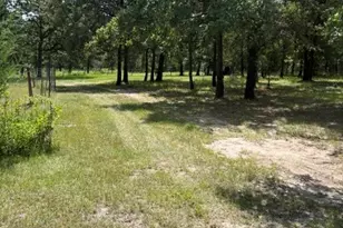 25660 Cemetery Rd, Bedias, TX 77831 - Photo 6