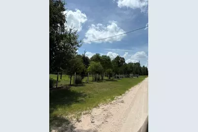 25660 Cemetery Road, Bedias, TX 77831 - Photo 2