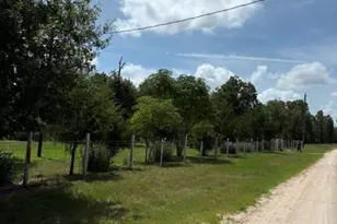 25660 Cemetery Rd, Bedias, TX 77831 - Photo 2