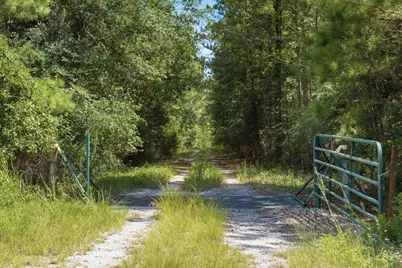 118.25 Acres Cr 278C, Anderson, TX 77830 - Photo 4