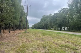 Tract C Mangum Rd, Livingston, TX 77351 - Photo 1