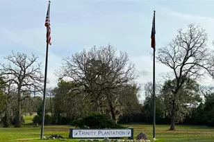 Lot 25 Colomb St, Trinity, TX 75862 - Photo 1