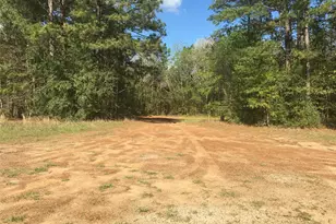 Lot 13 County Road 175, Garrison, TX 75946 - Photo 1