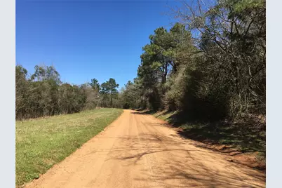 Lot 13 County Road 175, Garrison, TX 75946 - Photo 2