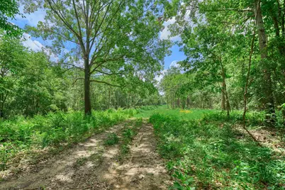 Tract C Sharp View Road, Montgomery, TX 77356 - Photo 6