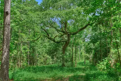 Tract C Sharp View Road, Montgomery, TX 77356 - Photo 8