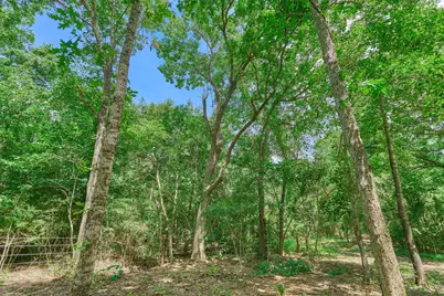 Tract C Sharp View Road, Montgomery, TX 77356 - Photo 12