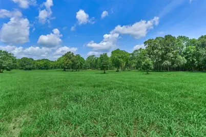 Tract C Sharp View Road, Montgomery, TX 77356 - Photo 14