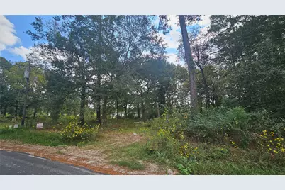 26750 & 26698 Peach Creek Drive, New Caney, TX 77357 - Photo 8