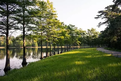 1147 Beals Creek Street, Conroe, TX 77304 - Photo 32