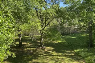 283 Wood Fern Dr, Cleveland, TX 77327 - Photo 14