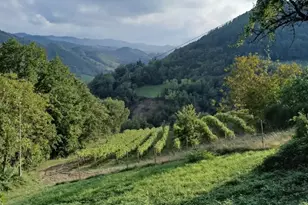 25 Via Modiglianese 25Â€“27Â€“29 Ex LocalitÃ  Ridiane, Almont, CO 47019 - Photo 20