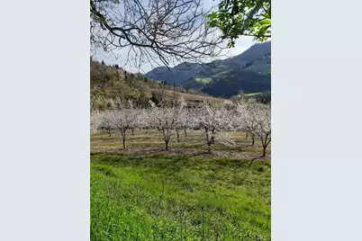 25 Via Modiglianese 25Â€“27Â€“29 Ex LocalitÃ  Ridiane, Almont, CO 47019 - Photo 4