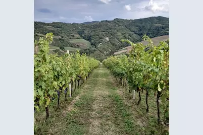 25 Via Modiglianese 25Â€“27Â€“29 Ex LocalitÃ  Ridiane, Almont, CO 47019 - Photo 10