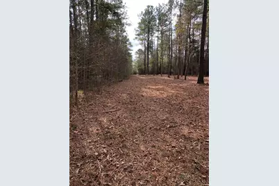 Tbd 13.56 Acres Pr 8725, Woodville, TX 75979 - Photo 4