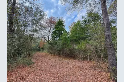 13 Ac Highway 75 North, Buffalo, TX 75831 - Photo 2