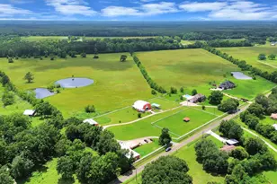 2109 County Rd 2274, Cleveland, TX 77327 - Photo 1