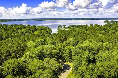Tbd Pine Circle, Trinity, TX 75862 - Photo 2