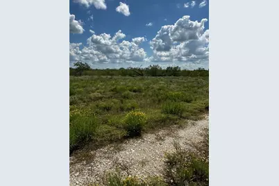 Lot 4 County Road 420, Waelder, TX 78959 - Photo 8