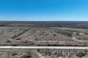 Lot 4 County Road 420, Waelder, TX 78959 - Photo 1