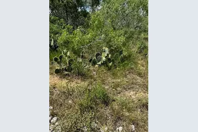 Lot 4 County Road 420, Waelder, TX 78959 - Photo 4