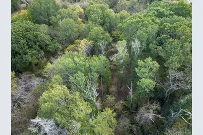 000 Highway 75, Madisonville, TX 77006 - Photo 14