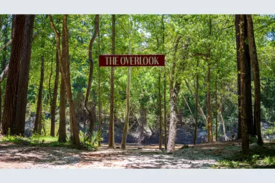 7448 Caprock Canyon Lane, Porter, TX 77365 - Photo 22