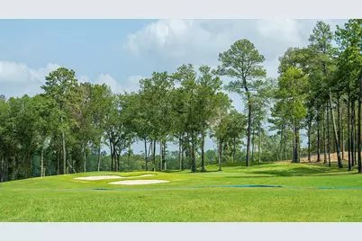 7448 Caprock Canyon Lane, Porter, TX 77365 - Photo 14