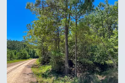 11 Howell Road, Corrigan, TX 75939 - Photo 2